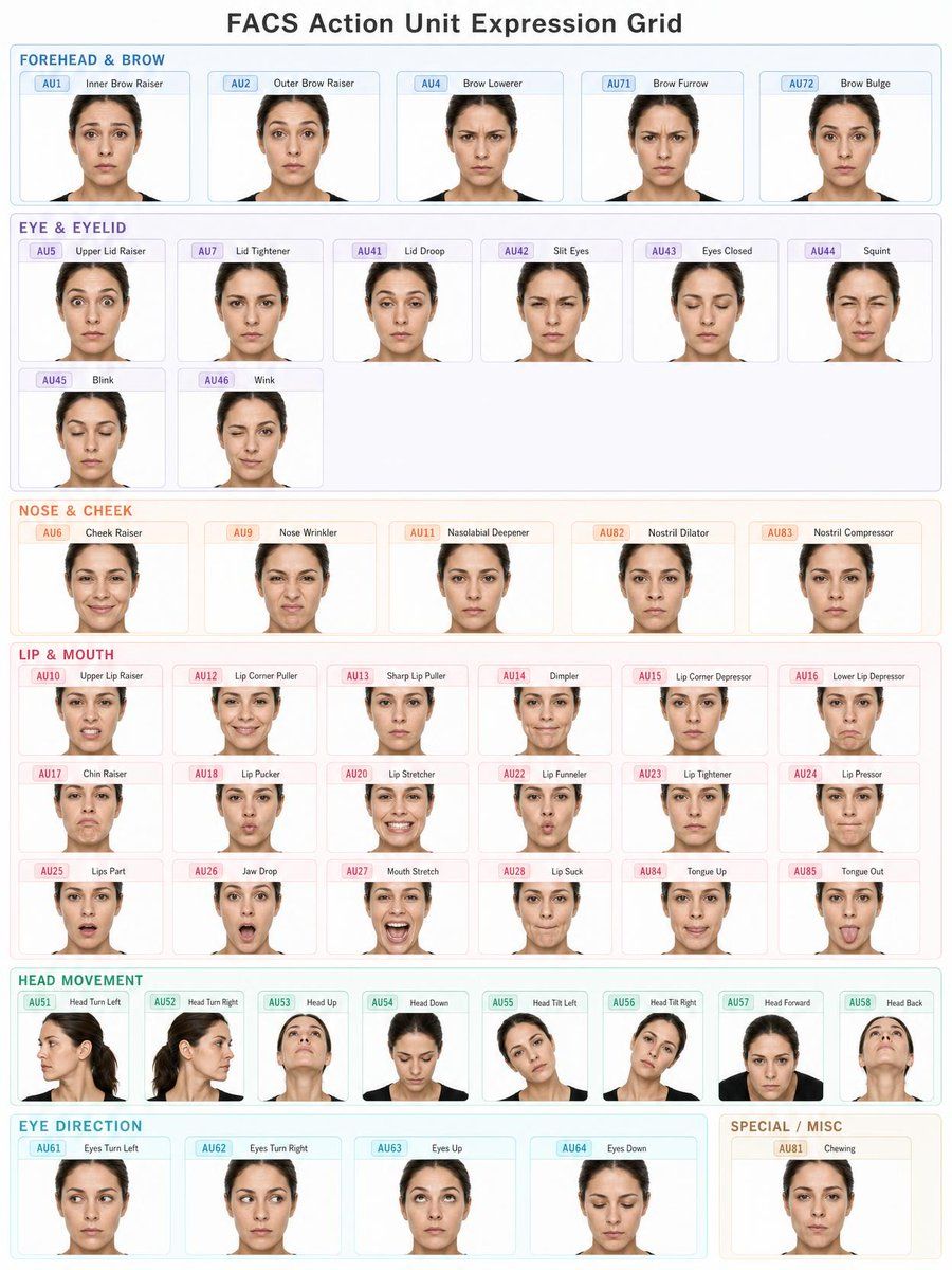 成人女性 FACS 表情单元网格