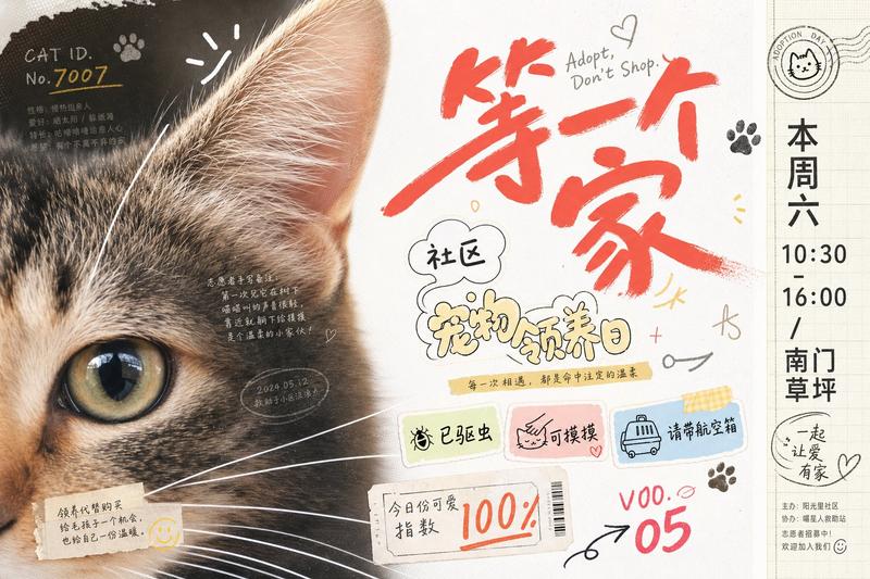 街舞社团拼贴风视觉图像