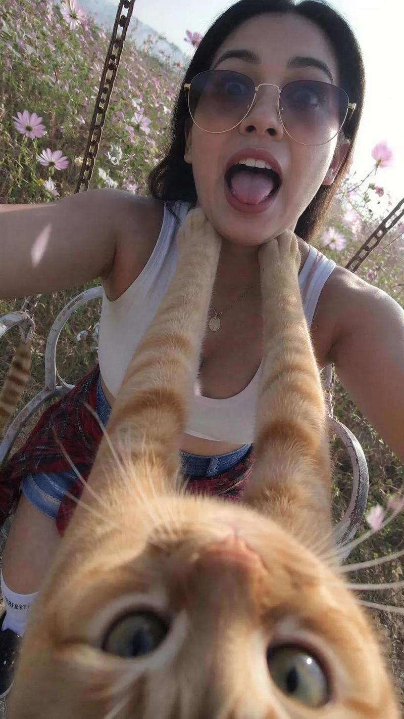 Funny Cat POV Selfie
