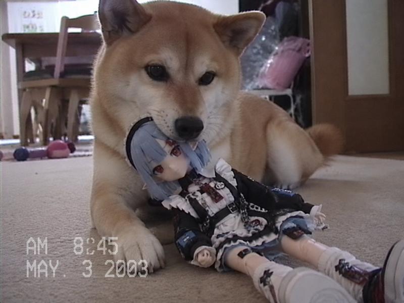 Nostalgic Home Video Doll Effect